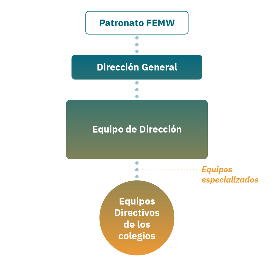 Organigrama estructura FEMW
